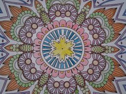 whatsapp image 2026-01-24 at 16.27.21